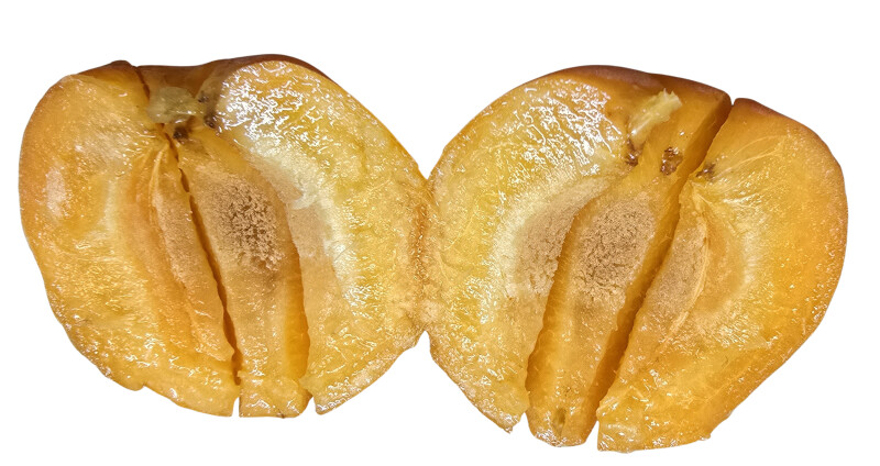 E2004 Professionelle Entsteinmaschine für Bäckereien und Gastronomie